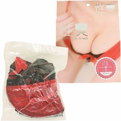 ����A�C�e���b���L�@�u���W���[�@�����̂ɂ���