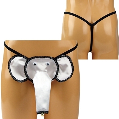 �����W�F���[�b�����Y�@�����Y��ȗ�t���]�E����f�X�g�@�z���C�g