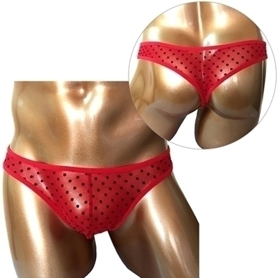 �����W�F���[�b�a�����c���������@���C���h�r�L�j�p���c�i�v�|�O�P�V�j�@���ʃ��b�h