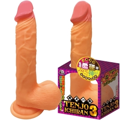 �f�B���h�b�V��ꗐ�@�i�R�j