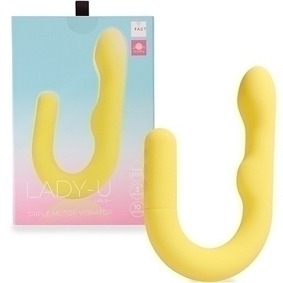 �o�C�u�b�k�������@�t�@�i�C�G���[�j