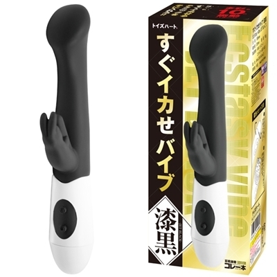 �o�C�u�b�����C�J���o�C�u�@�i�����j