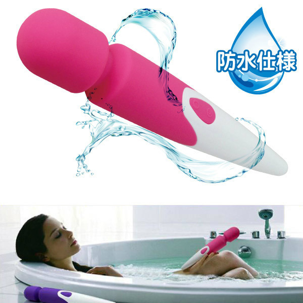 ���v�������i�A�C�����h�j�@�s���N