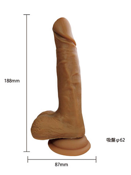 �\�t�e�B���@���x���@���A���V���R���f�B���h�@�i�r�j