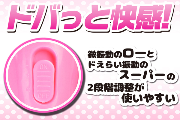 �m�d�v�@�h�f���}�@�i�s���N�j